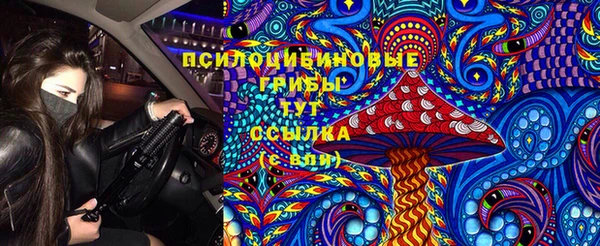 эйфоретик Алексеевка