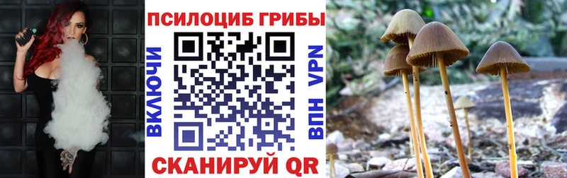 Псилоцибиновые грибы мухоморы  Грайворон 